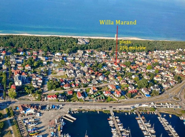 Willa Marand ?v=1.0.1