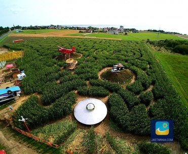 Labirynt w polu kukurydzy w Swarzewie 25 km od Jastarni.