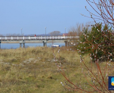 Przy molo funkcjonują liczne punkty gastronomiczne, szk&oacute;łki windsurfingu, wypożyczalnie sprzętu wodnego.
