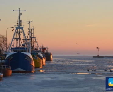 Lepiej jest szukać dobrych ryb zimą. O tej porze roku zawartość tłuszcz&oacute;w osiąga w ich tkankach optymalny poziom, a walory smakowe rosną.