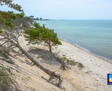 Wydmy oddzielają morze od lądu.